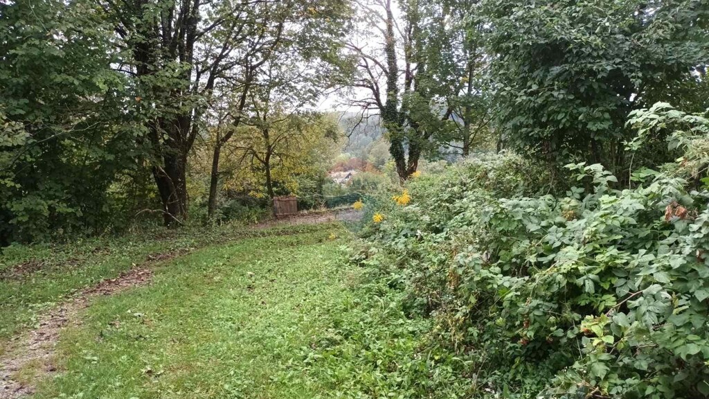 Image 5429164 - 13