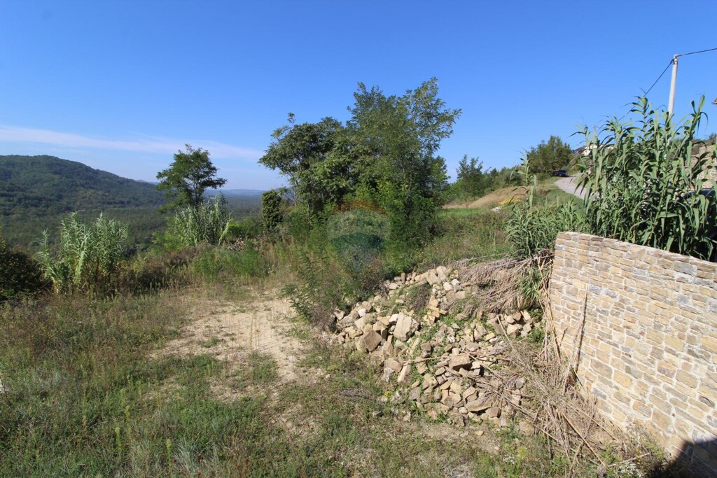 Image 5429202 - 14