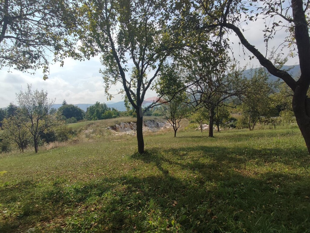 Image 5429356 - 12