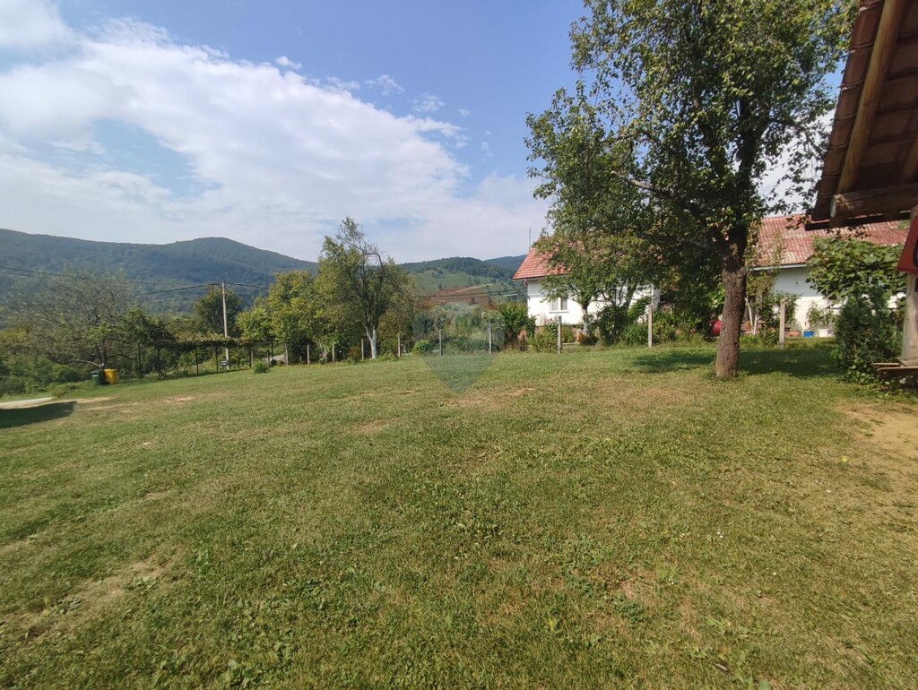Image 5429356 - 11