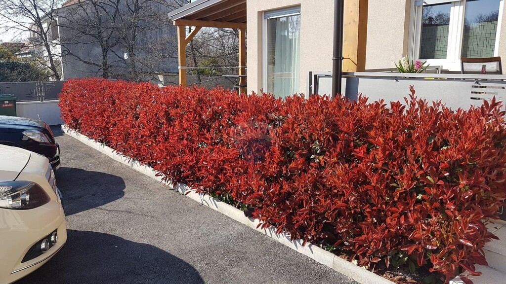 Image 5429400 - 4