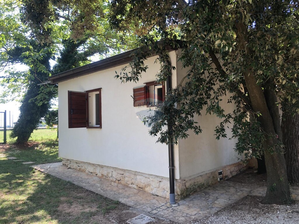 Image 5429417 - 4