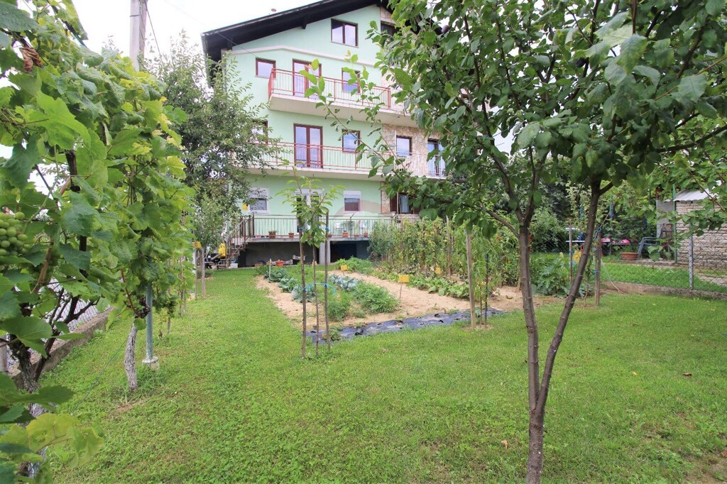 Image 5429458 - 1