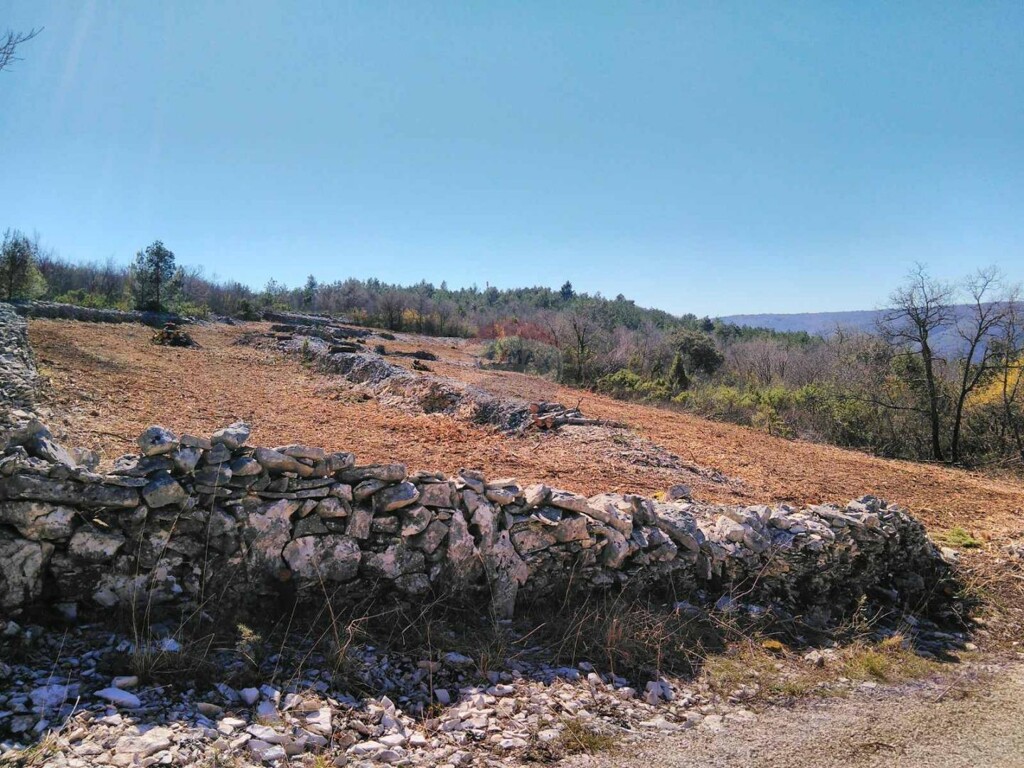 Image 5429470 - 3