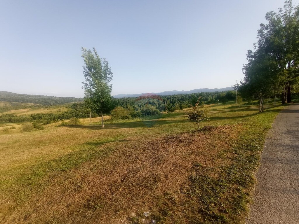 Image 5429554 - 3