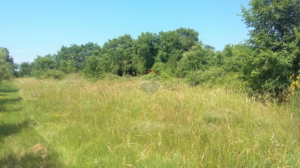 Image 5429564 - 4