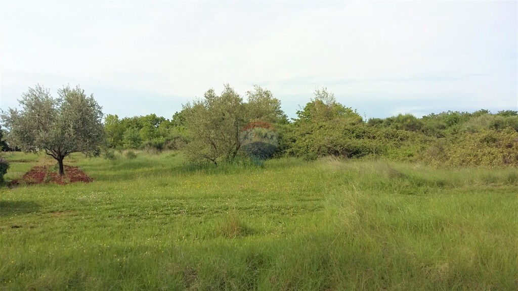 Image 5429564 - 2
