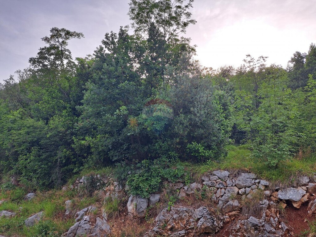Image 5429625 - 1