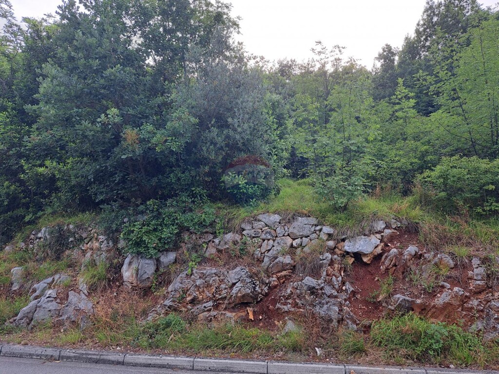 Image 5429625 - 2