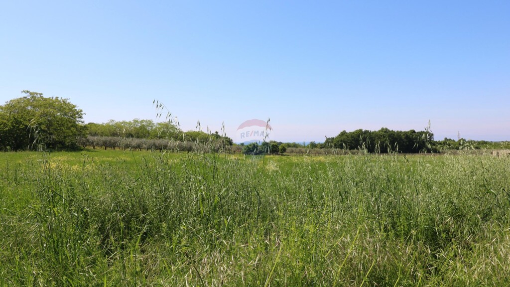 Image 5429806 - 2