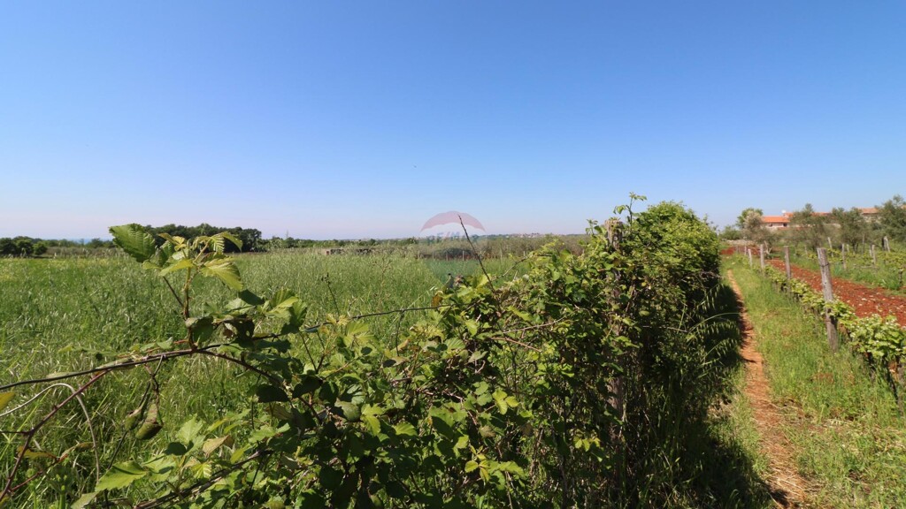 Image 5429806 - 4