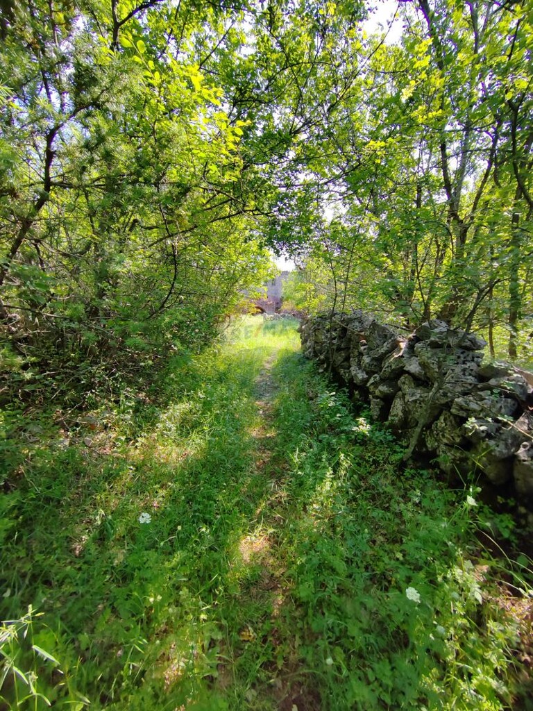 Image 5429819 - 13
