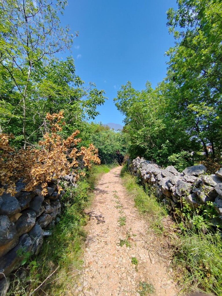 Image 5429819 - 15
