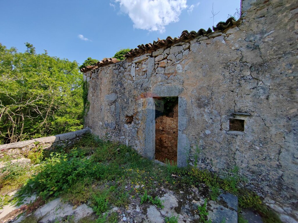 Image 5429819 - 8