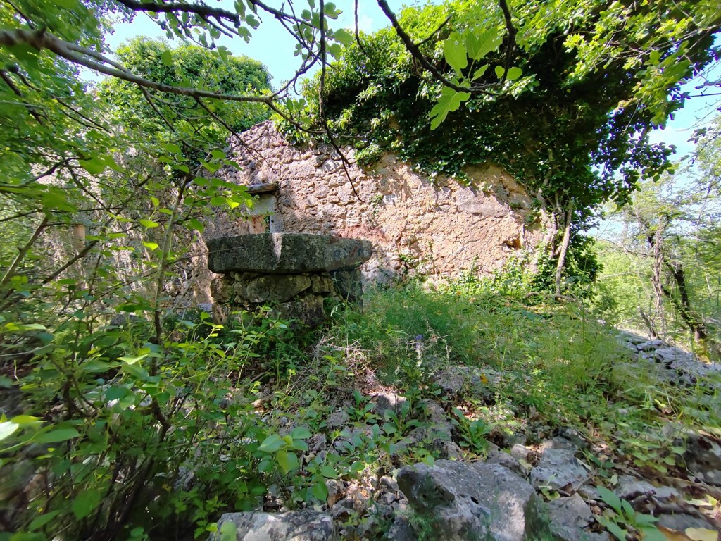Image 5429819 - 3