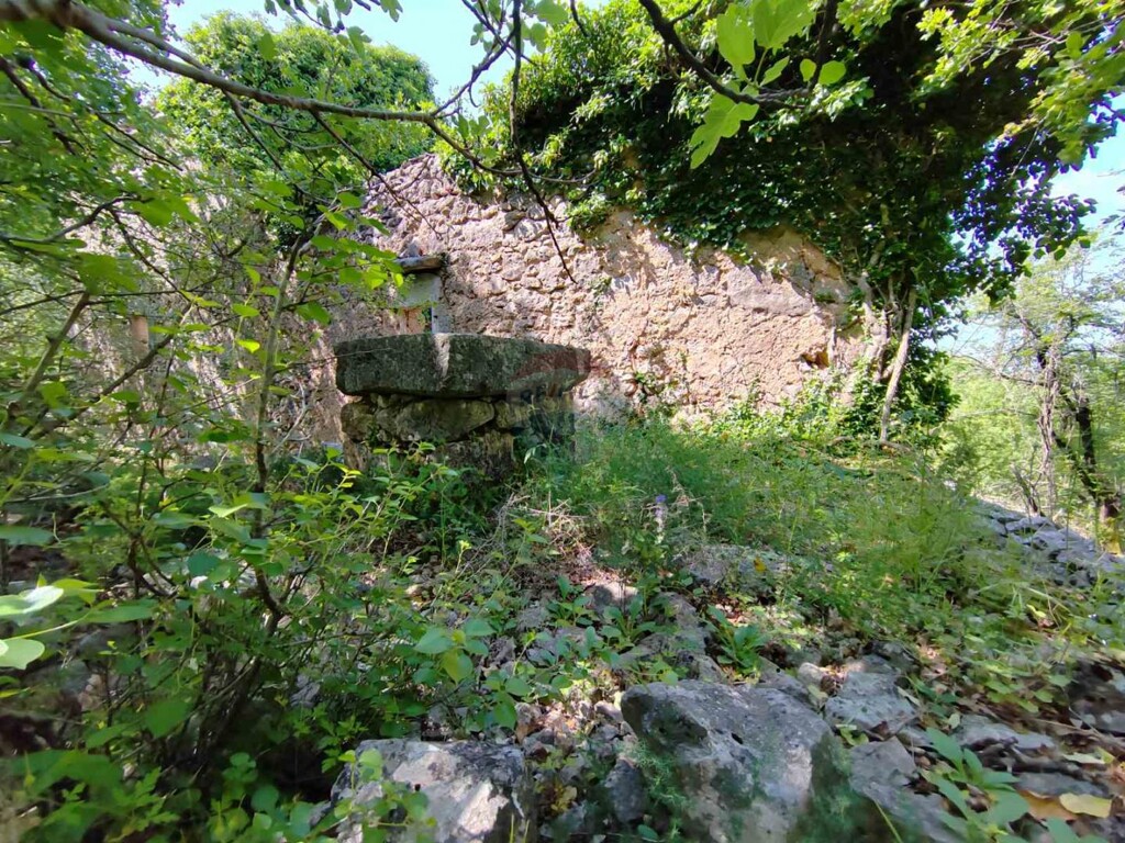 Image 5429819 - 24