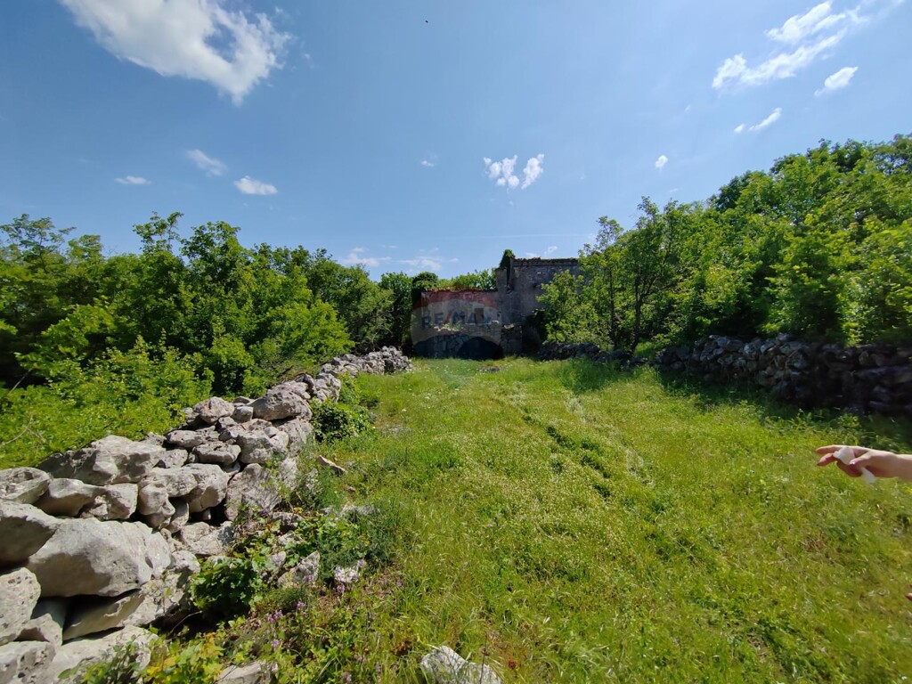 Image 5429819 - 12