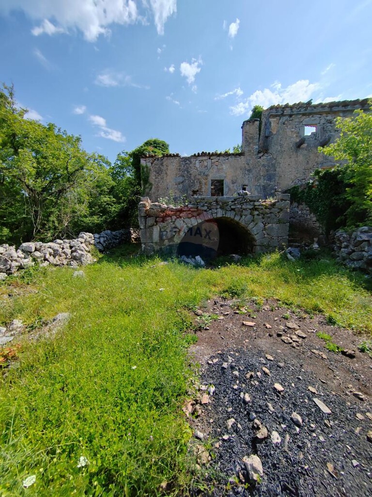 Image 5429819 - 1