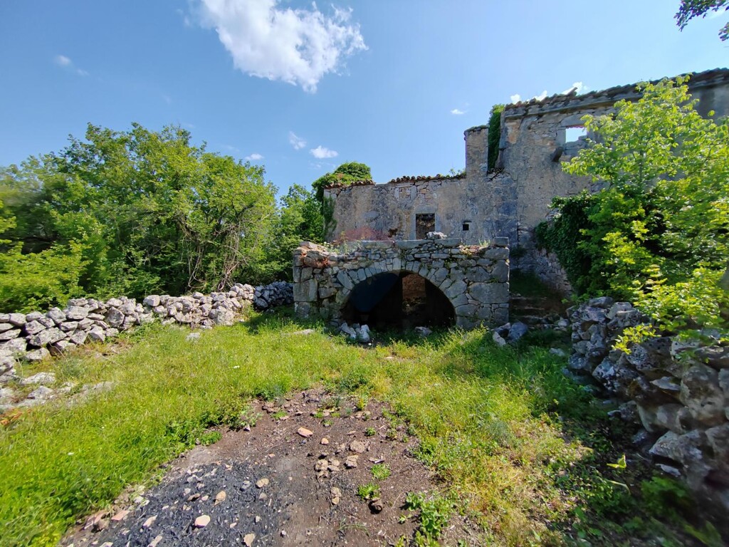 Image 5429819 - 10