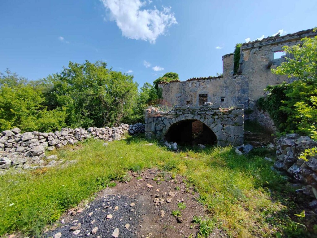 Image 5429819 - 16