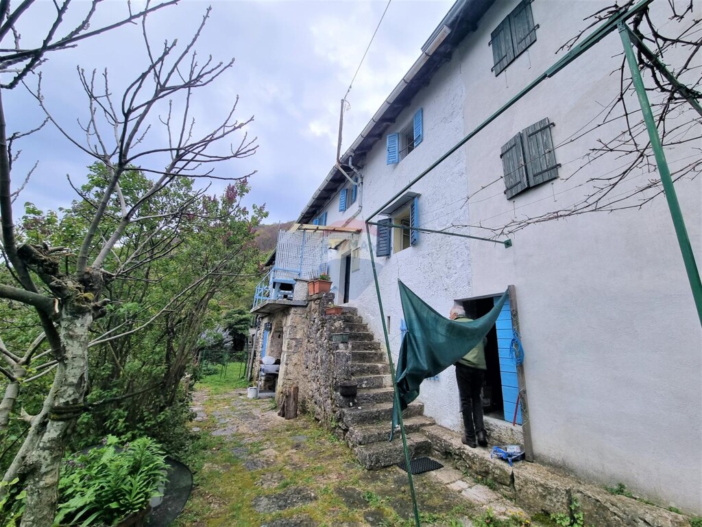 Image 5430051 - 3