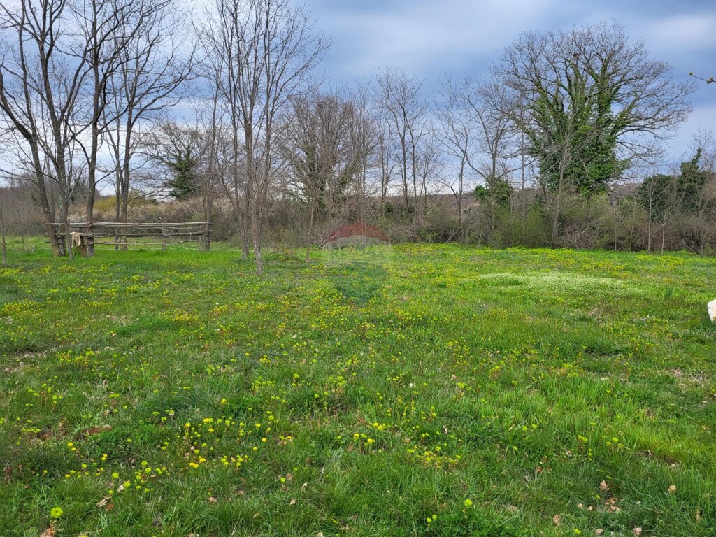 Image 5430111 - 1