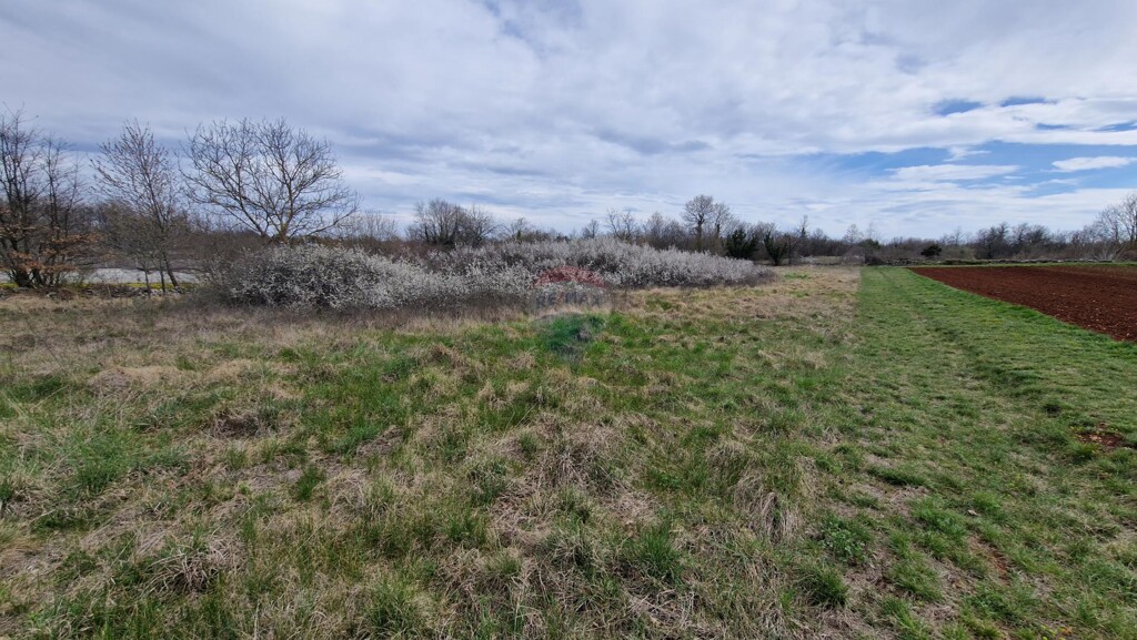 Image 5430160 - 1