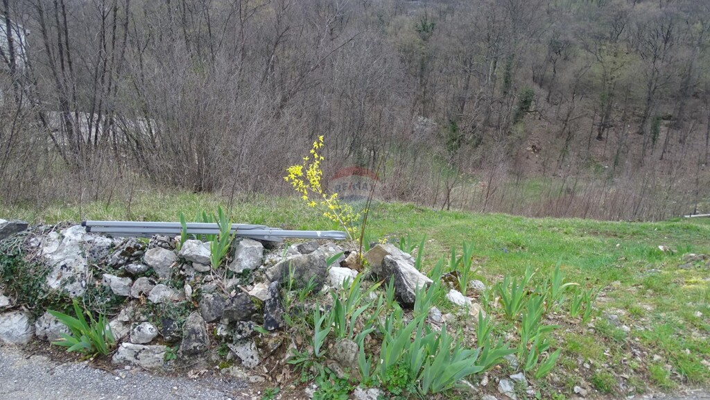 Image 5430162 - 1