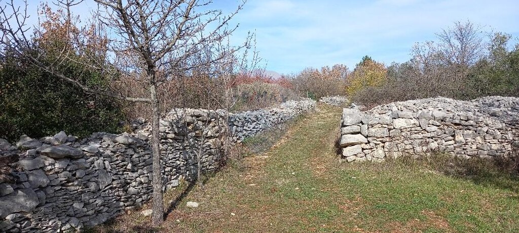 Image 5430291 - 14