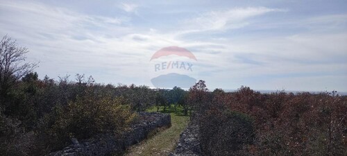 Thumbnail 5430291 - 1