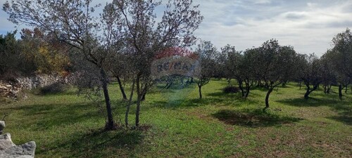 Thumbnail 5430291 - 4