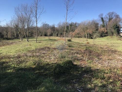 Istra,Pavićini,poljoprivredna zemljišta