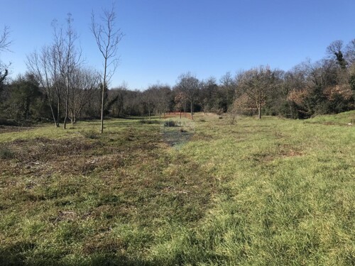 Istra,Pavićini,poljoprivredna zemljišta