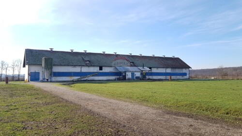 Velika Gorica, okolica, farma peradi, poljoprivredno zemljiš