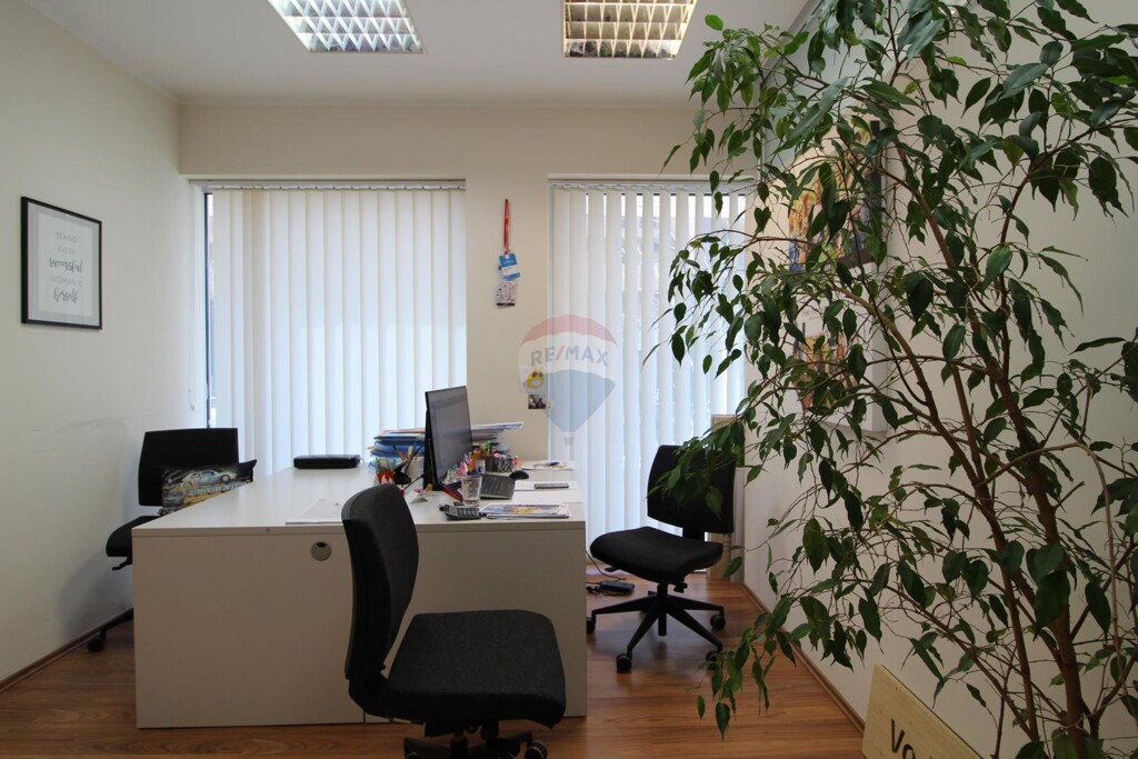 Image 5436313 - 1