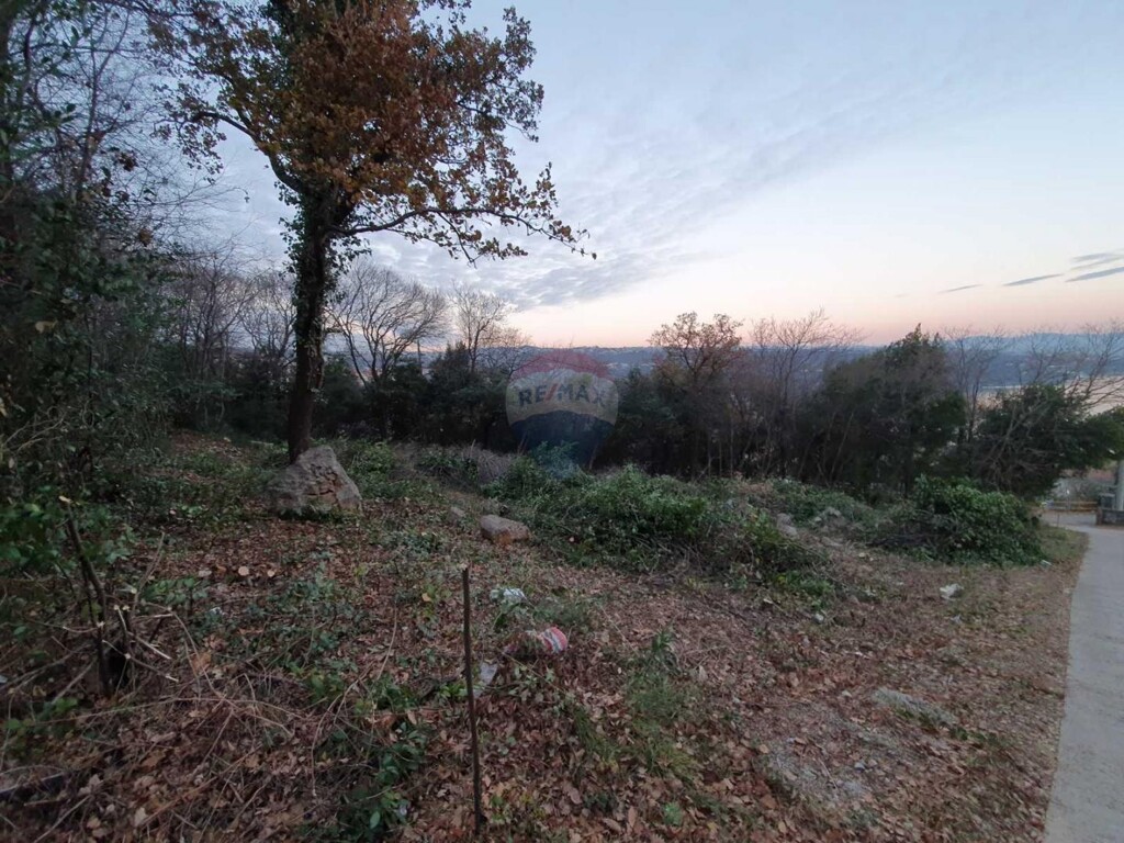 Image 5436805 - 3