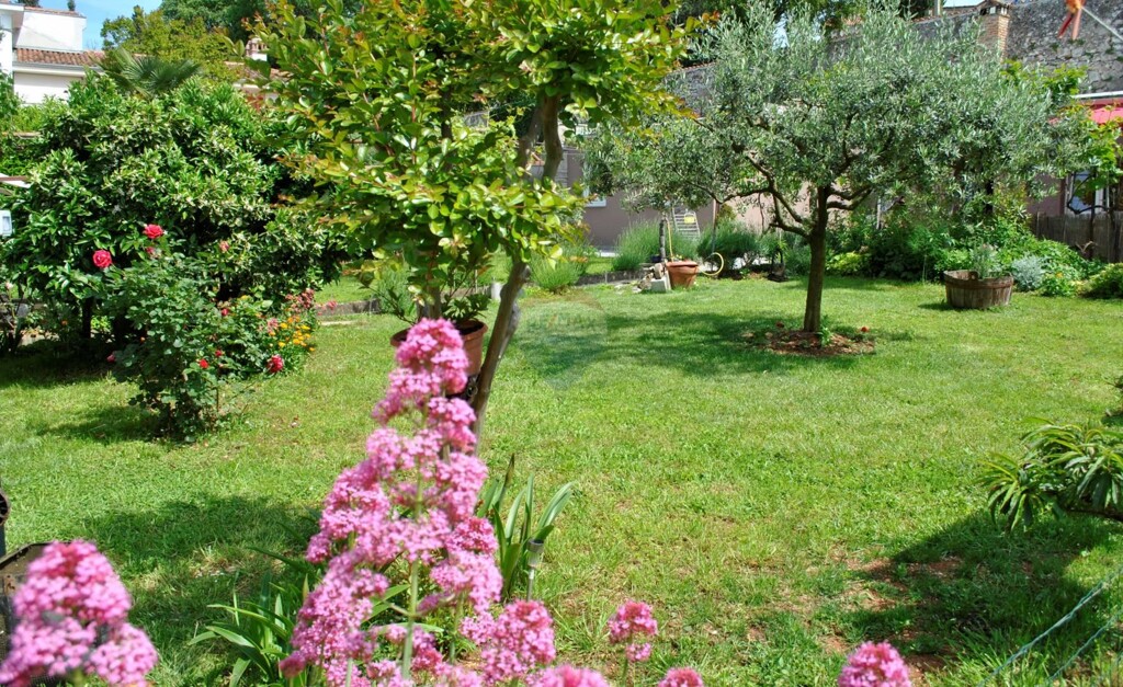Image 5440527 - 17