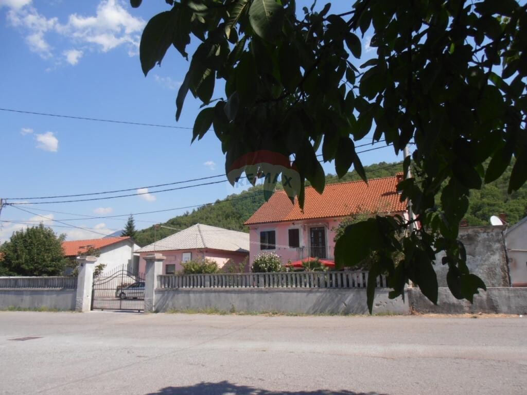 Image 5456378 - 10