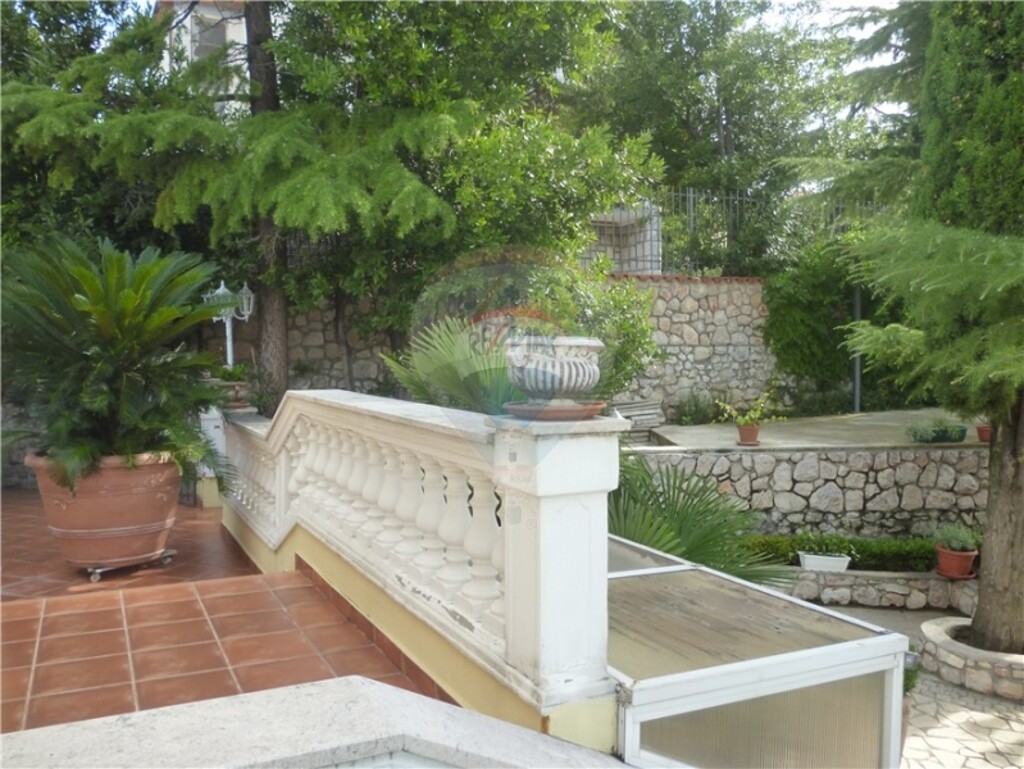 Image 5461714 - 2