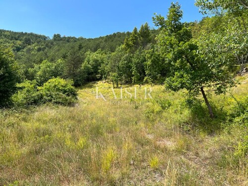 Buzet, Salež – Predivno poljoprivredno zemljište od 33.000 m