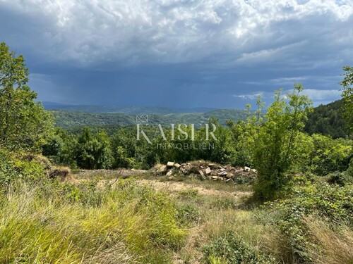 Buzet, Salež – Predivno poljoprivredno zemljište od 33.000 m
