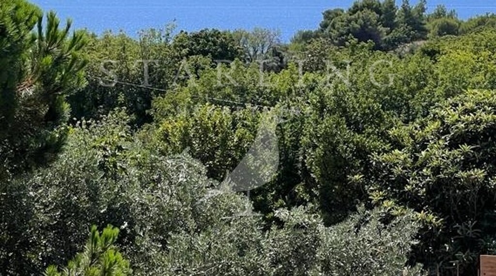 Image 5466230 - 1