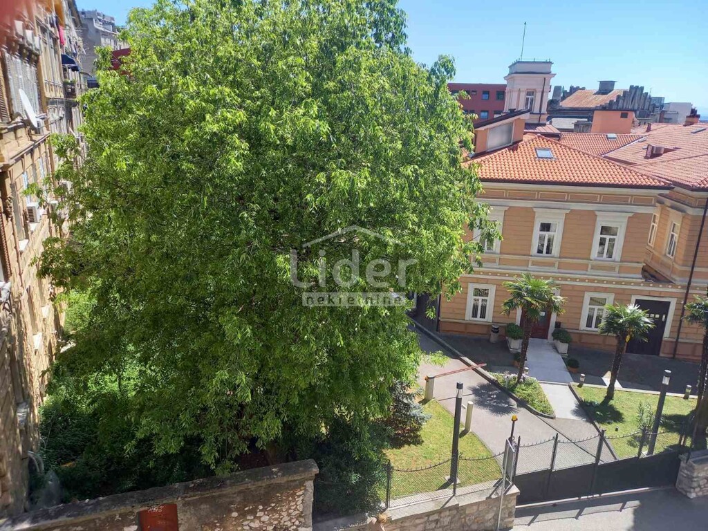 Image 5466825 - 13