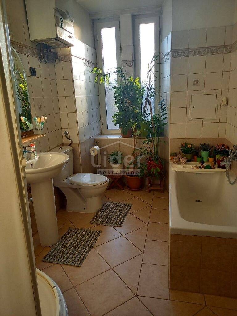 Image 5466825 - 3