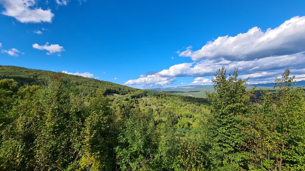 Image 5467328 - 2
