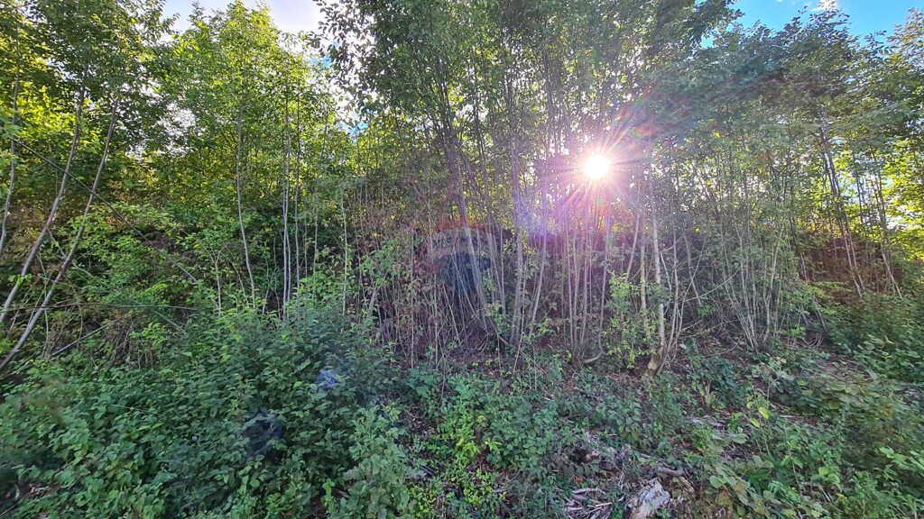 Image 5467328 - 3