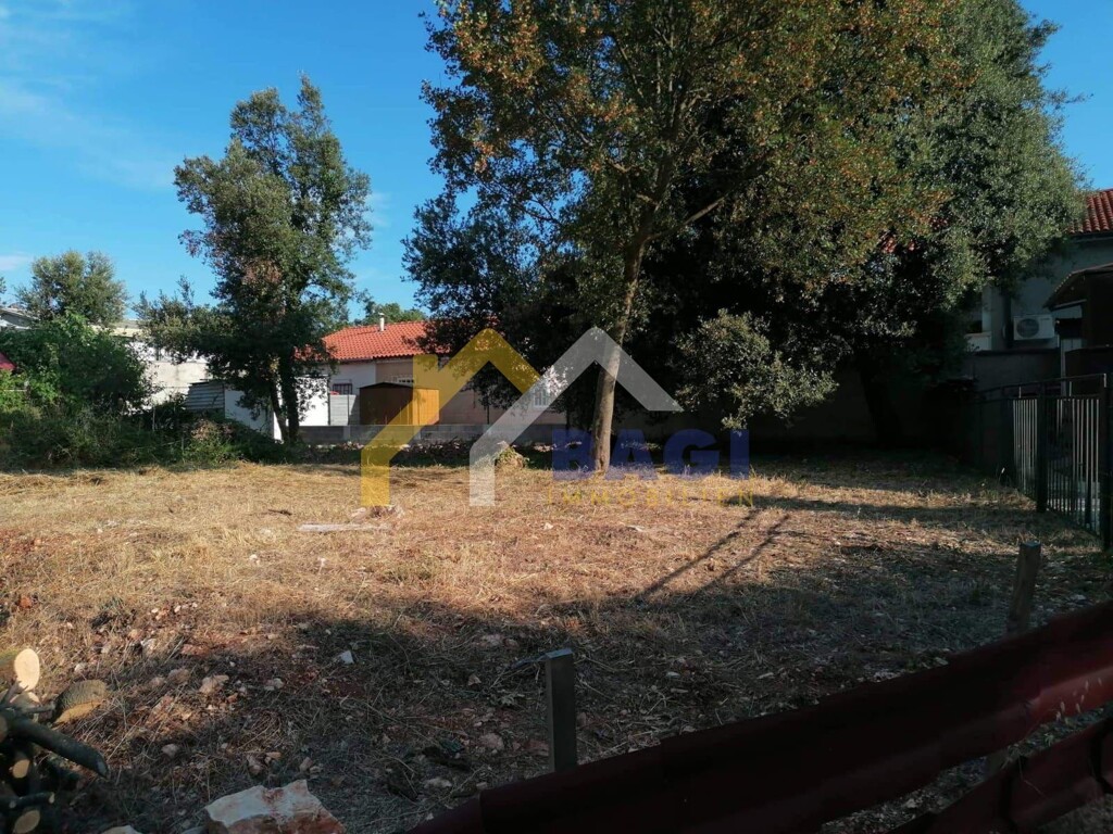 Image 5468018 - 1