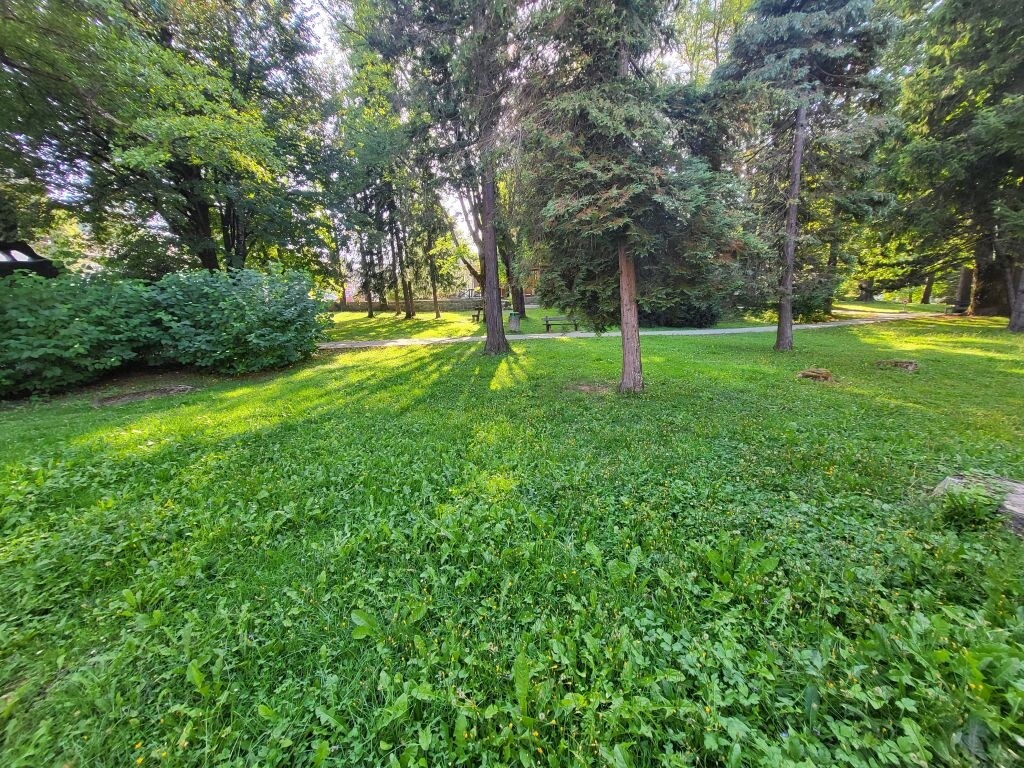 Image 5469517 - 7