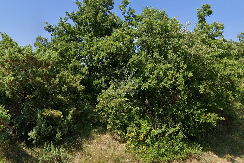 Image 5470049 - 1