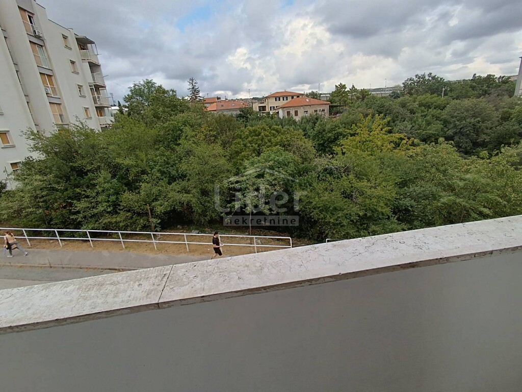 Image 5470050 - 12